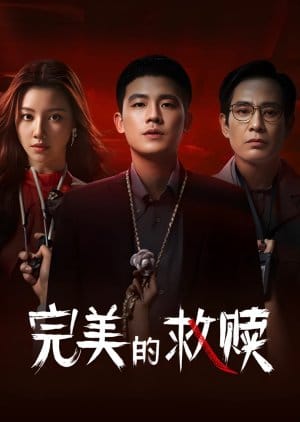 The Perfect Suspect (2025) Episode 16