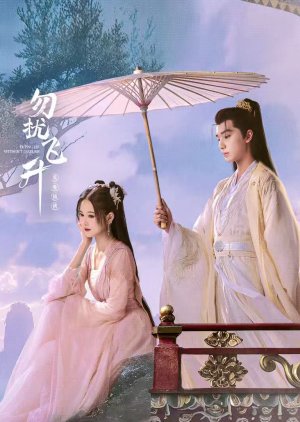 Flying up without Disturb (2025)